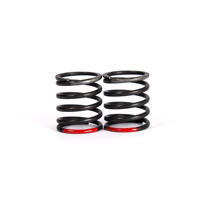 big bore springs wire 1,7– kg 4,1 ( 2 pcs)