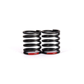 big bore springs wire 1,7– kg 3,8 ( 2 pcs)