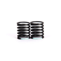 big bore springs wire 1,7– kg 3,2 ( 2 pcs)