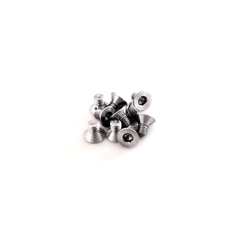 special flat head  M2,5 x 4 TS-10 pcs