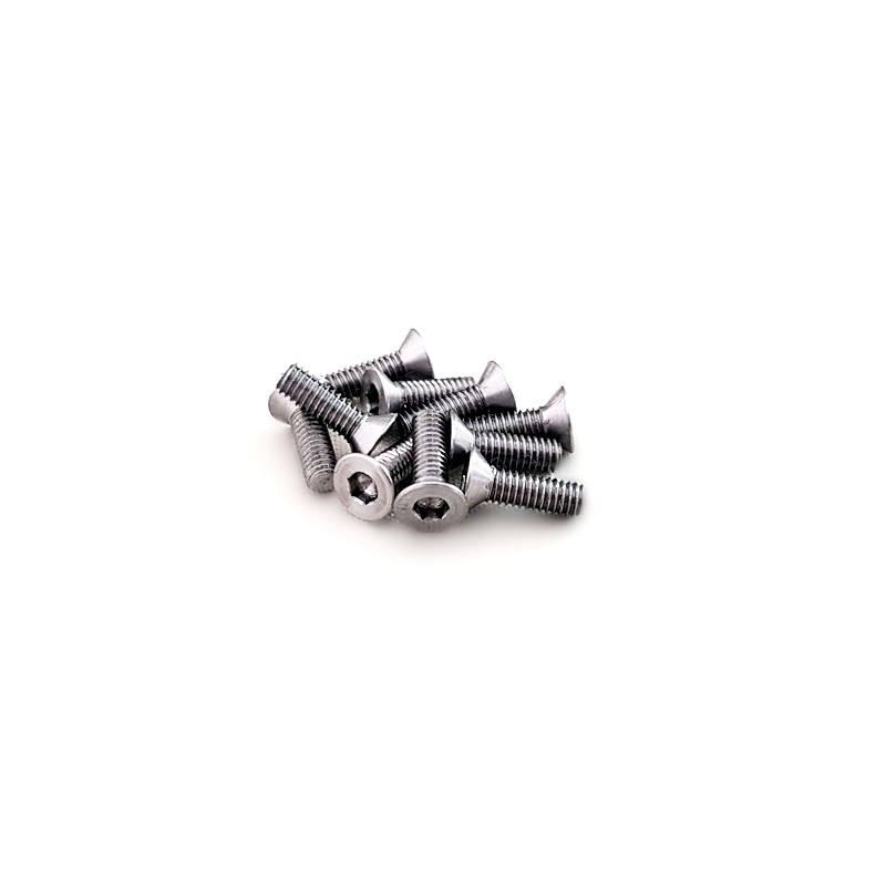 Speciala flat head M2,5 x 8 TS-10 pcs