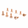 (SSS) super schwere Schrauben aus Wolfram (Tungsten) M4x9 Linse und Senkkopf +10Gramm