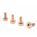 (SSS) super schwere Schrauben aus Wolfram (Tungsten) M4x9 Linsenkopf +10Gramm