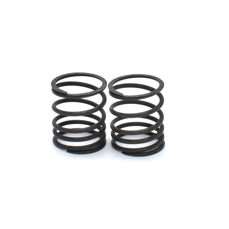 big bore progressive springs  ( 2 pcs)