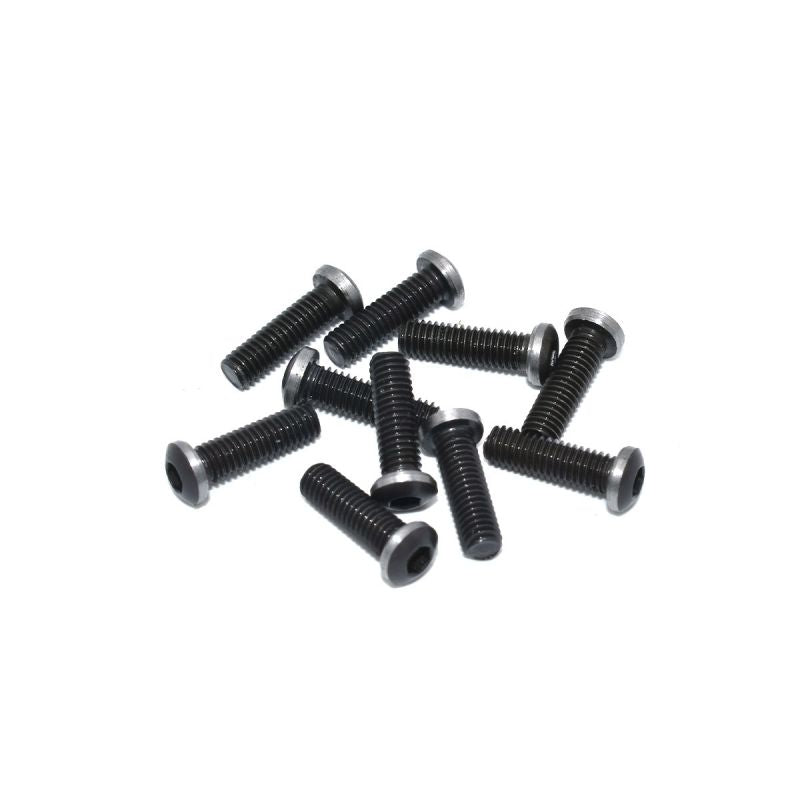 Special M3x10 Screw (10 pieces)